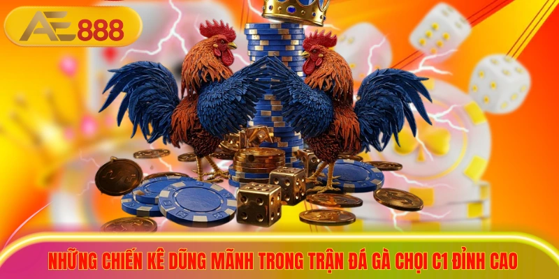 Những chiến kê dũng mãnh trong trận đá gà chọi C1 đỉnh cao