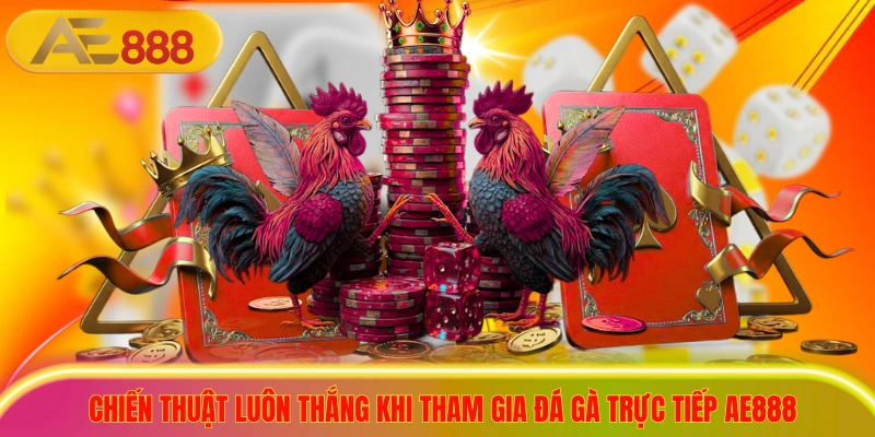 Chiến thuật luôn thắng khi tham gia đá gà trực tiếp ae888