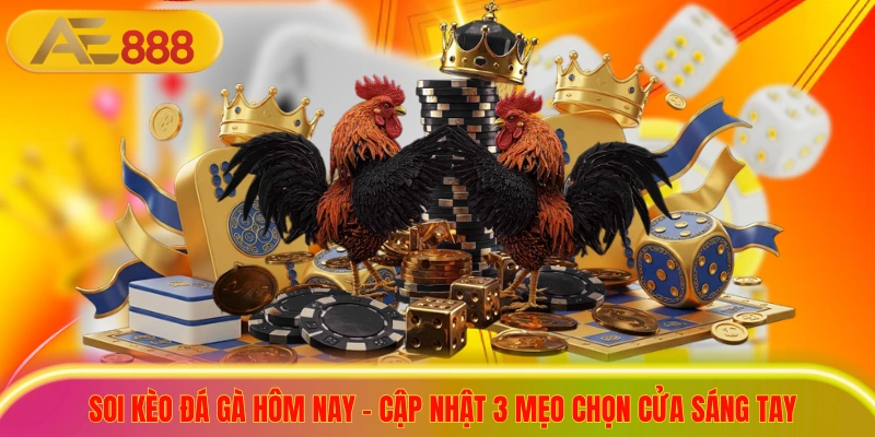 Soi Kèo Đá Gà Hôm Nay - Cập Nhật 3 Mẹo Chọn Cửa Sáng Tay