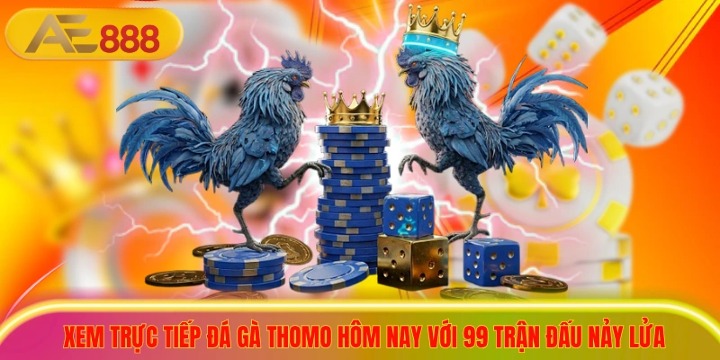 Xem Trực Tiếp Đá Gà Thomo Hôm Nay Với 99 Trận Đấu Nảy Lửa
